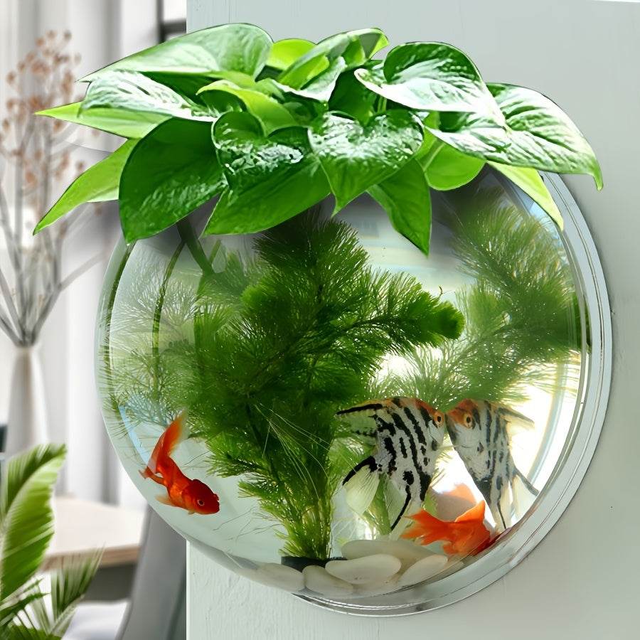 Wall-Mounted Vase & Mini Fish Tank - Montero Milan