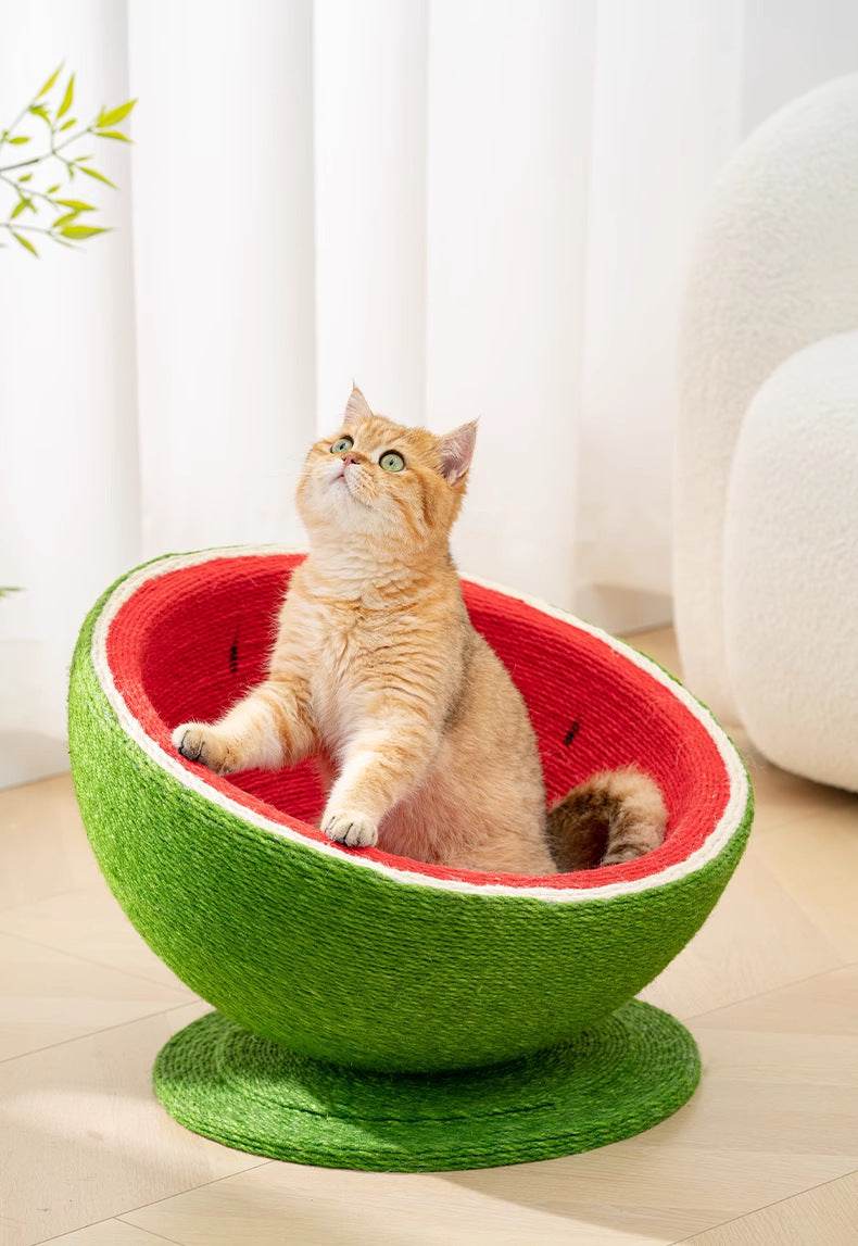 Watermelon Cat Scratcher Lounge - Montero Milan