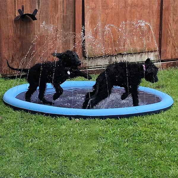 SplashPaw™ Fun Zone - The Splash Pad Makes Your Pup and Kids Happy! - Montero Milan