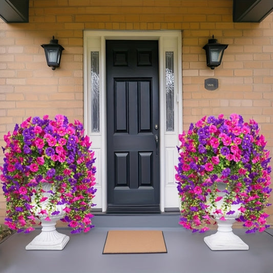image6