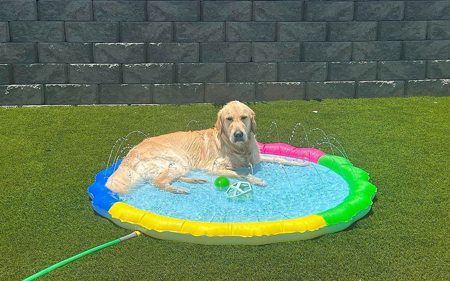 SplashPaw™ Fun Zone - The Splash Pad Makes Your Pup and Kids Happy!