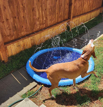 SplashPaw™ Fun Zone - The Splash Pad Makes Your Pup and Kids Happy!