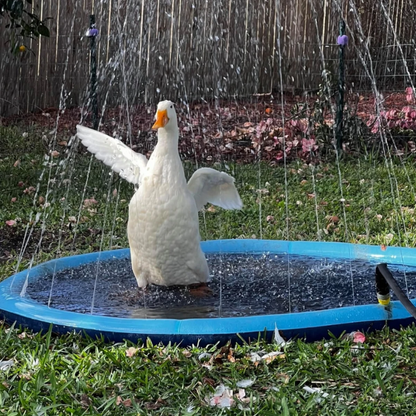 SplashPaw™ Fun Zone - The Splash Pad Makes Your Pup and Kids Happy!