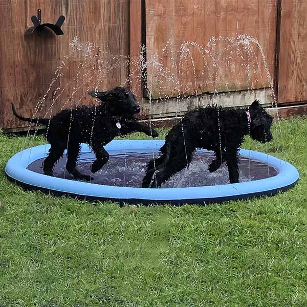 SplashPaw™ Fun Zone - The Splash Pad Makes Your Pup and Kids Happy!